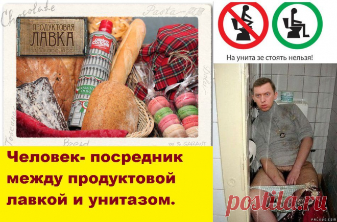 Яндекс.Фотки Человек- посредник между продуктовой лавкой и унитазом