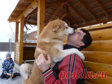 встреча любимого хозяина