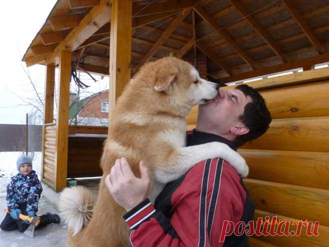 встреча любимого хозяина