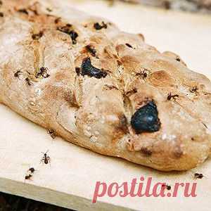 Пшенично-ржаной хлеб с изюмом и тмином рецепт – вегетарианская еда: выпечка и десерты