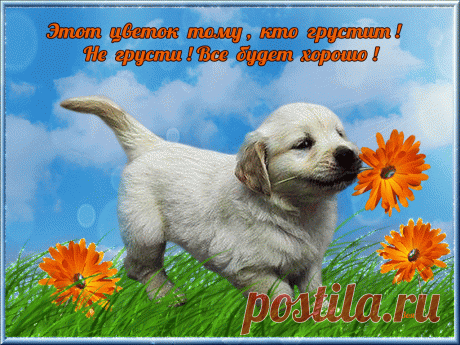 Картинки «Не грусти» (34 фото) ⭐ Забавник