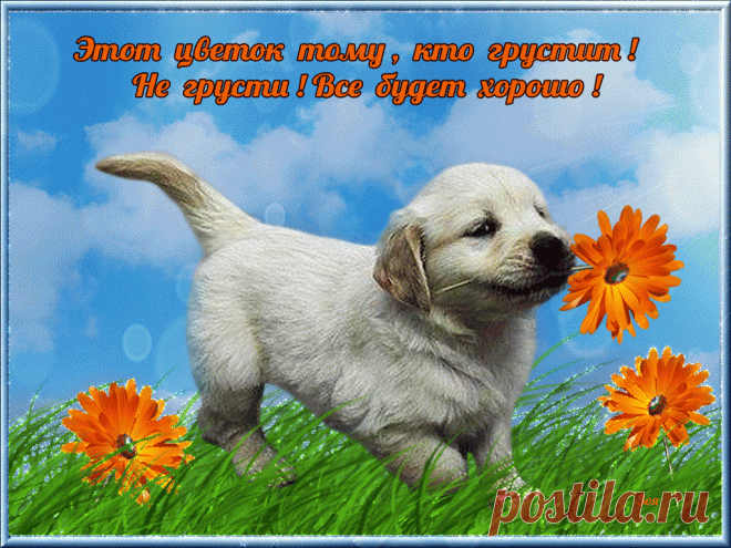 Картинки «Не грусти» (34 фото) ⭐ Забавник
