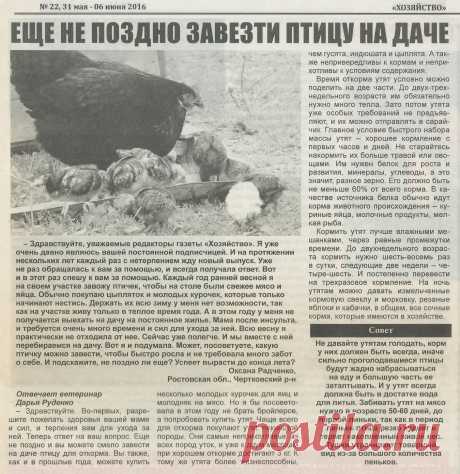 Еще не поздно завезти птицу на даче