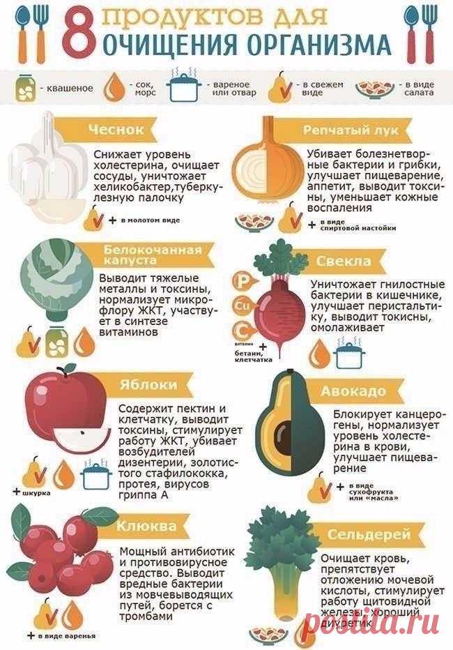 Продукты для очищения организма Все о методах похудения, фитнес, домашние диеты, правильное питание, диетические рецепты.