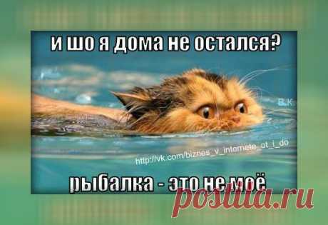 )))