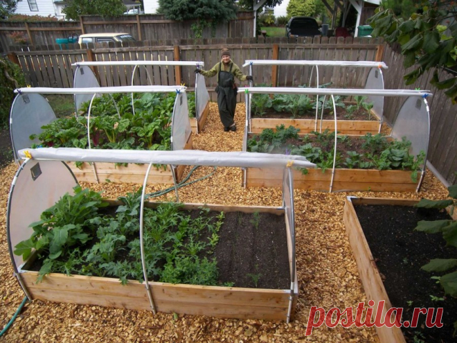 Парник - 130 фото идей для постройки строения своими руками