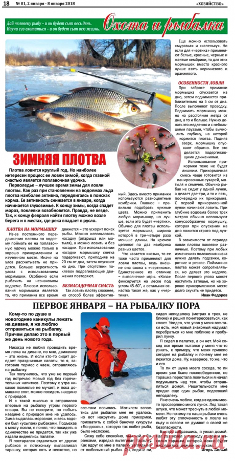 Зимняя плотва