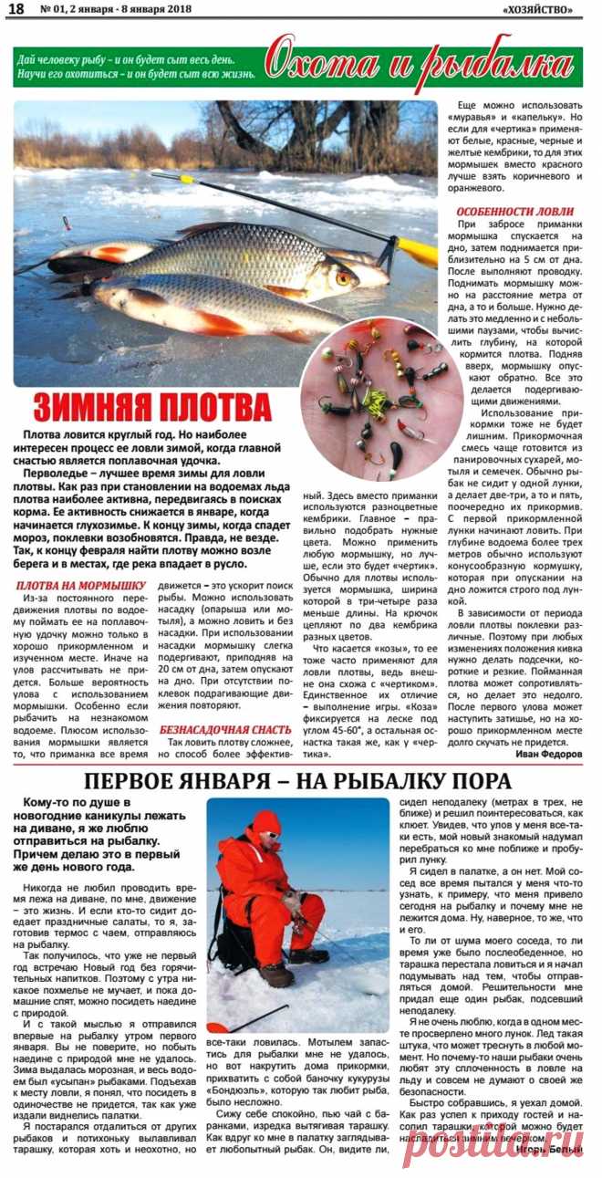 Зимняя плотва