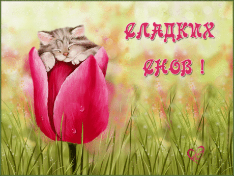 Открытки анимация Сладких снов | Открытки анимация