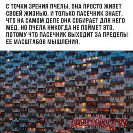 +++
