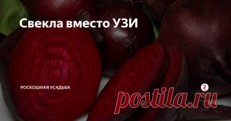 Свекла вместо УЗИ Проблемы с кишечником имеют многие. И чтобы узнать его состояние, нужно сделать УЗИ. Но, как правило, на это у нас нет времени, желания, да и удовольствие не совсем дешевое. А ведь состояние кишечника можно узнать самостоятельно дома.
