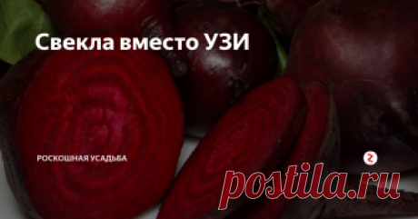 Свекла вместо УЗИ Проблемы с кишечником имеют многие. И чтобы узнать его состояние, нужно сделать УЗИ. Но, как правило, на это у нас нет времени, желания, да и удовольствие не совсем дешевое. А ведь состояние кишечника можно узнать самостоятельно дома.