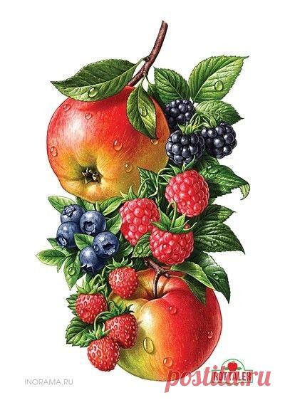 qn3_pAmG5Wg.jpg (400×562)