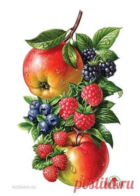 qn3_pAmG5Wg.jpg (400×562)