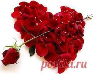 Подарки знаков Зодиака 14 февраля / Все для женщины