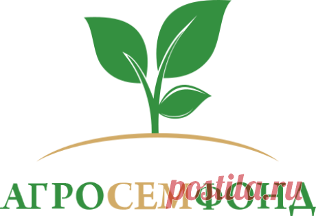 Картофель семенной семена купить | Интернет магазин семян овощей «Агросемфонд»