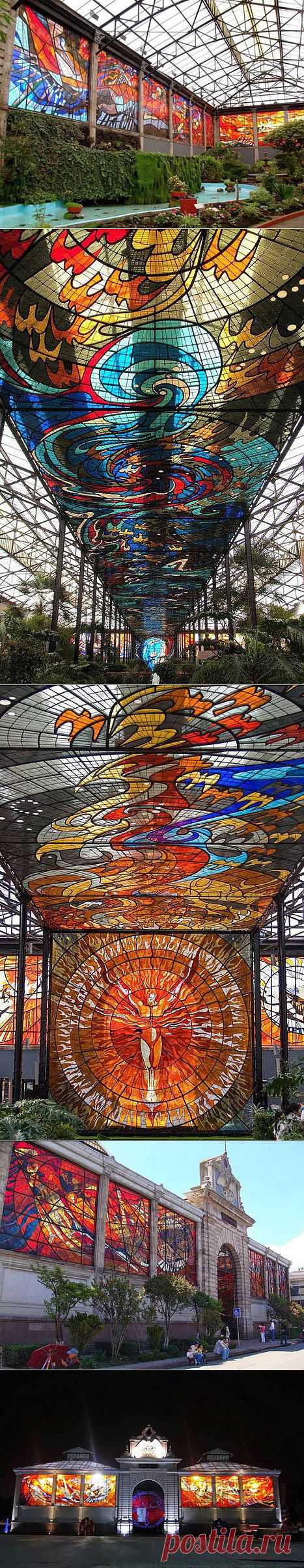 Витражи в ботаническом саду / Я - суперпупер