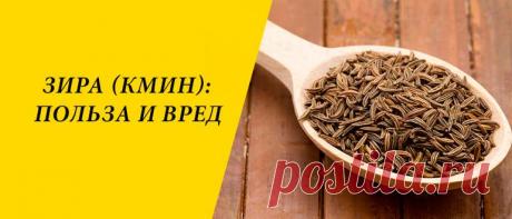 Зира: польза и вред для здоровья организма Зира: особенности и происхождение пряности, применение в народной медицине, в косметологии и кулинарии, польза и вред для здоровья организма.