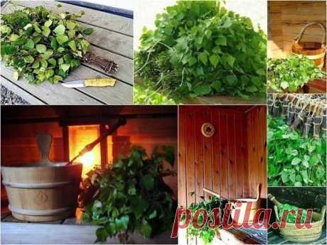 Банные веники и их полезные свойства. Какие из них лучше. 
 
Сохраните, чтобы не потерять! 
 
У каждого из них есть свои особенности: 
 
- Березовый, хорошо нагоняют жар, массируют кожу. Листья и почки, и кора, и сок березы обладают целебными свойствами, поэтому березовые веники так популярны в банях. Березовый веник незаменим при мышечных и суставных болях, например, после тяжелых физических нагрузок. 
 
- Дубовый веник обладает успокаивающим и противовоспалительным эффектом и очень полезен для