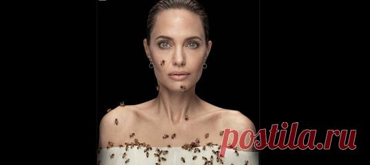 «Анджелина стояла неподвижно, вся покрытая пчелами, 18 минут, но обошлось без единого укуса». Фотосъемка Анджелины Джоли и National Geographic, сделанная ко Всемирному дню пчёл, мгновенно покорила соцсети. Мы публикуем большое интервью актрисы: там она рассказывает, что сподвигло ее на такой шаг. А еще размышляет о том, какая она пчела 🐝