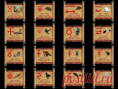 b-20293.jpg (970×728)