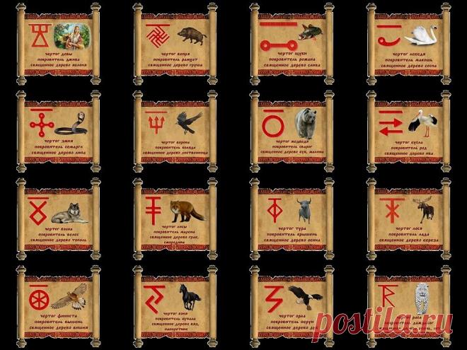 b-20293.jpg (970×728)