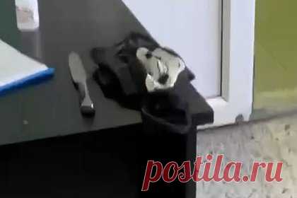 Напавшего на российский техникум задержали с помощью студентов