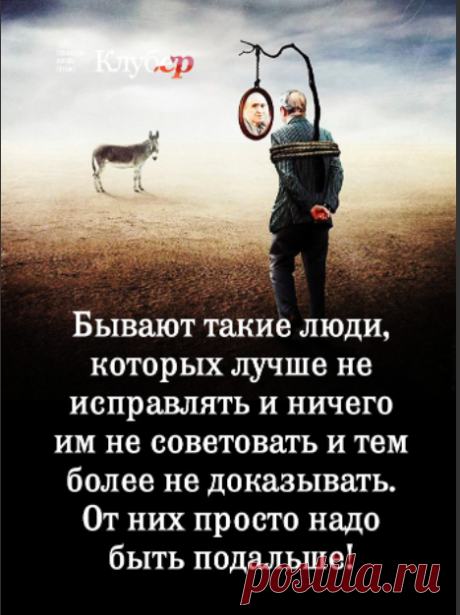 Анжелика Фролова-Дашкова