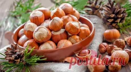 Выращивание и уход за фундуком (лещиной) - GreenMarket Выбор места для посадки ➙ Посадка ➙ Урожай ➙ Уход ➙ Вредители и болезни. В полном объеме раскрываем тему посадки и ухода за фундуком (лещиной).