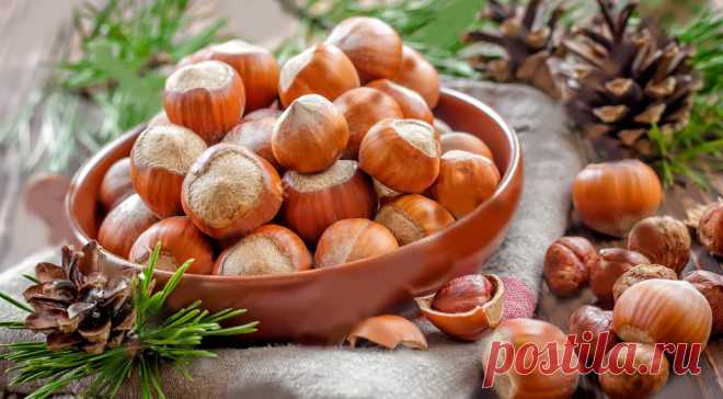 Выращивание и уход за фундуком (лещиной) - GreenMarket Выбор места для посадки ➙ Посадка ➙ Урожай ➙ Уход ➙ Вредители и болезни. В полном объеме раскрываем тему посадки и ухода за фундуком (лещиной).
