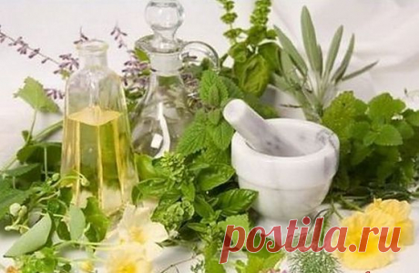 Лекарственные растения в народной медицине применение по алфавиту.ЗДЕСЬ:народная медицина,лечение травами,домашняя косметика,очищение организма,голодание,баня, сауна, ванны,исцеление молитвой --- https://www.web-zdrav.ru/