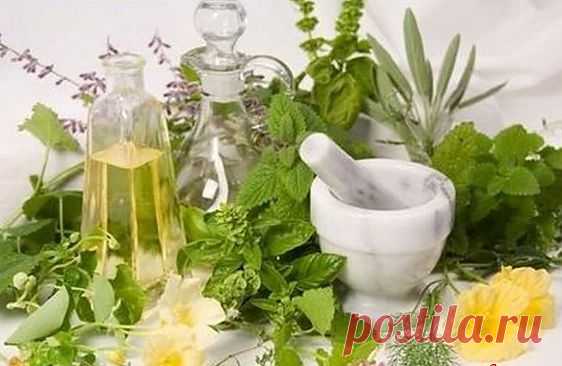 Лекарственные растения в народной медицине применение по алфавиту.ЗДЕСЬ:народная медицина,лечение травами,домашняя косметика,очищение организма,голодание,баня, сауна, ванны,исцеление молитвой --- http://www.web-zdrav.ru/