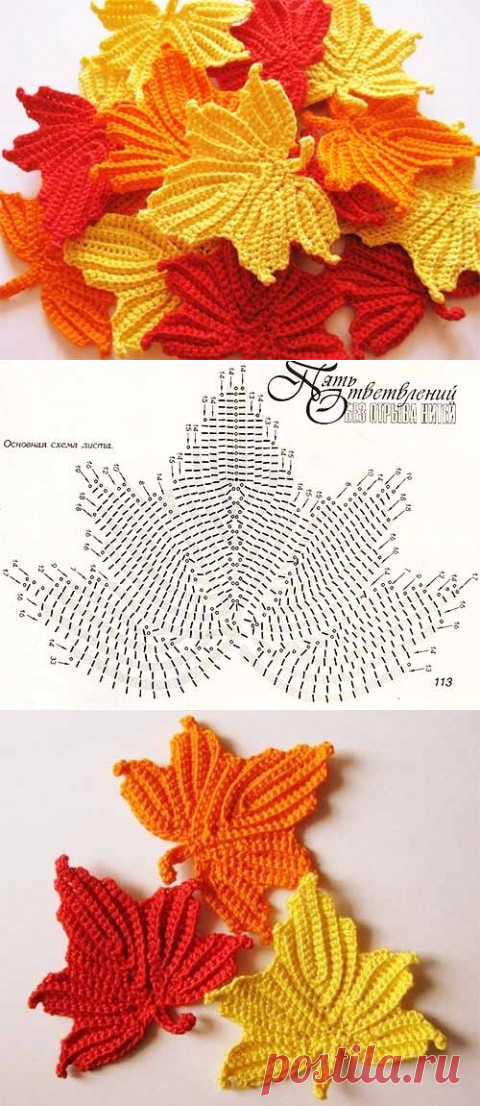 Кленовые листья