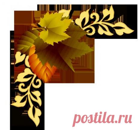 Плейкаст «День Рождения.»