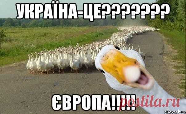 Стыдно быть идиотом? Евромечта украинцев начинает сбываться