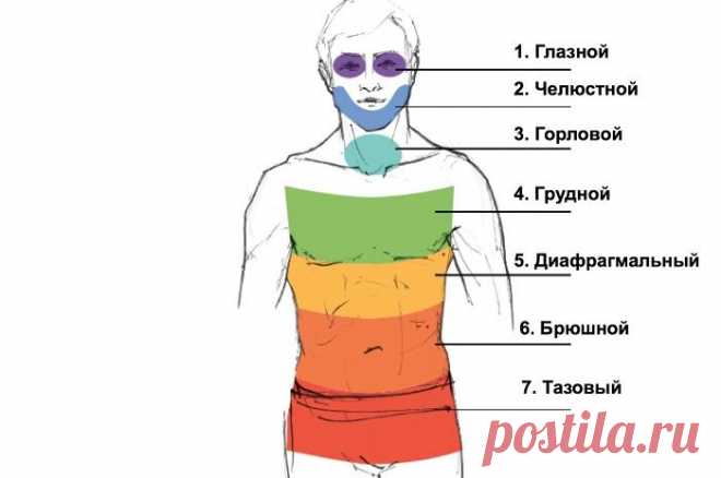 МЕТОДИКА ВИЛЬГЕЛЬМА РАЙХА ДЛЯ ИЗБАВЛЕНИЯ ОТ МЫШЕЧНЫХ ЗАЖИМОВ....