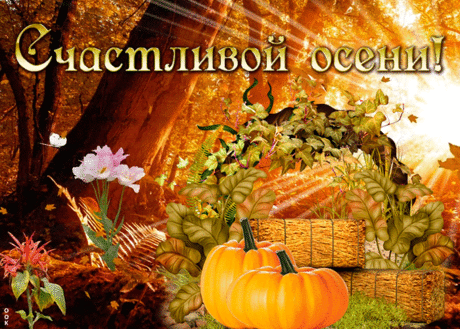 Мерцающая открытка с осенью