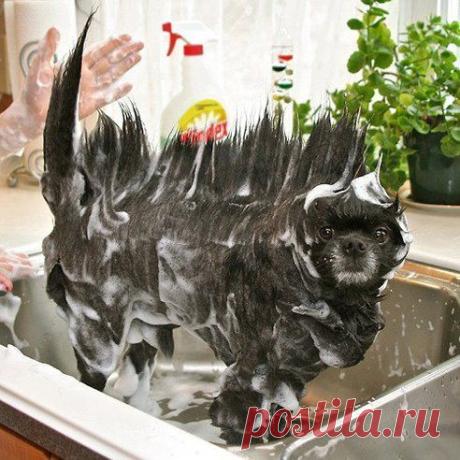 УБОЙНЫЕ ПРИКОЛЫ [анекдоты смешные фото и видео]
Ну смывай уже, хватит ржать )))
