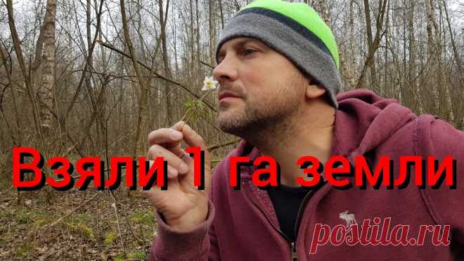 На черничный хутор приехали землемеры и пчеловод. Нам одобрили 1 га земли! Садим деревья в лесу