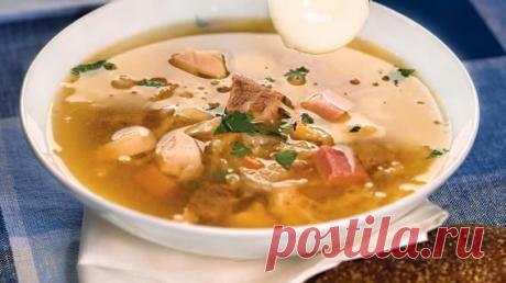 Щи из кислой капусты. Рецепты - щи со свининой, с грибами, с перловой крупой, с говяжьим языком, постные щи