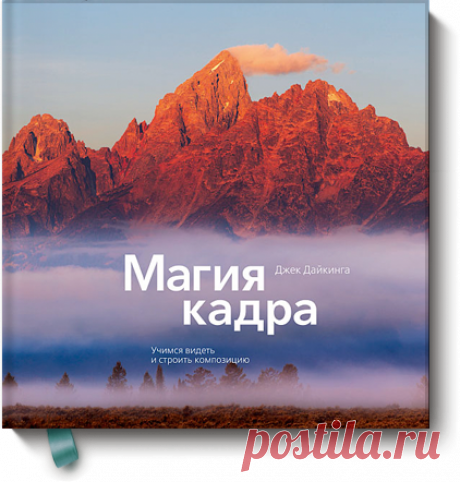 Магия кадра: билет в первый ряд на спектакль природы