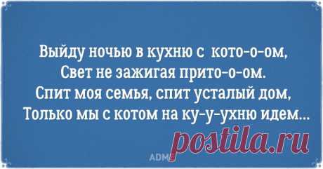 20 открыток о нелегкой жизни котов и их владельцев