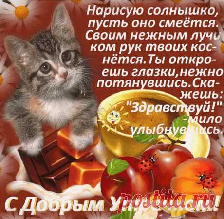 Прикольные открытки с добрым утром скачать бесплатно
