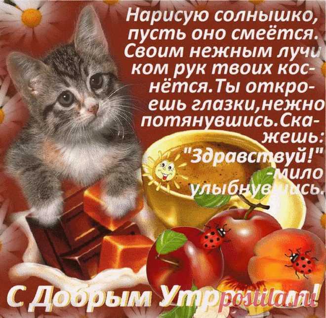 Прикольные открытки с добрым утром скачать бесплатно