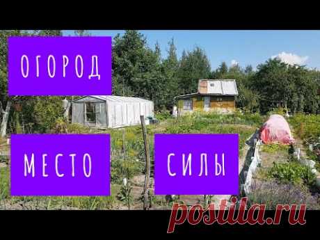 ОГОРОД / ФЛОКСЫ / ЧТО, ГДЕ растет