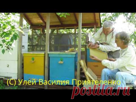 Уникальные Эффективные Ульи На Пасеке  Василия Приятеленко (Украина)