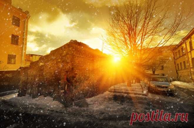 (9) Владимир Ременец