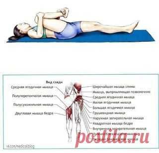 Секреты здоровья