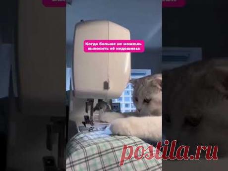 А сколько недоливов у Вас? Напишите в комментариях, проверим у кого больше 😵