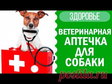 Антигистаминные средства для собак, инструкция по применению Дексаметазона